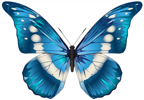 logo-papillon.png
