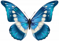 logo-papillon.png