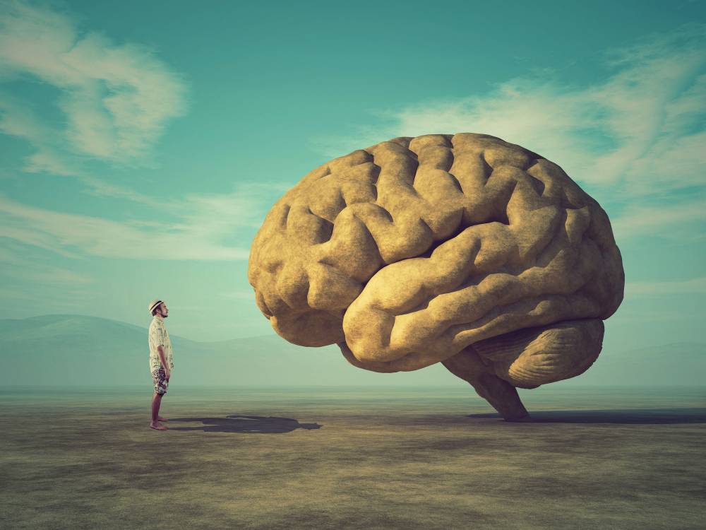 test neuropsychologique à Évreux